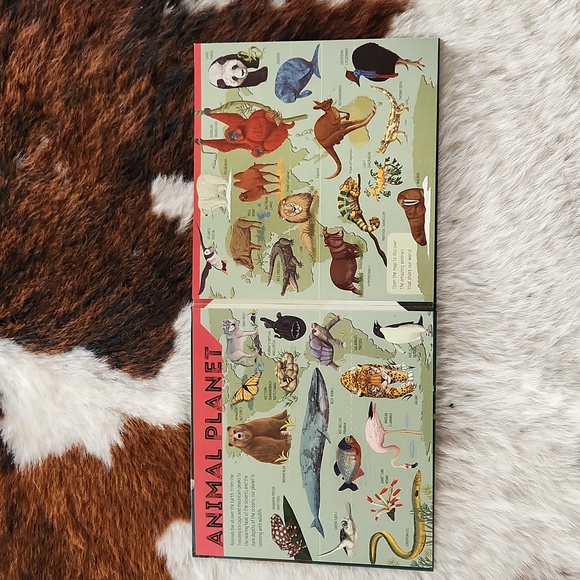 NWT Animal Atlas book - Picture 2 of 3